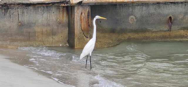 5600 N Flagler Drive 801, West Palm Beach, FL 33407