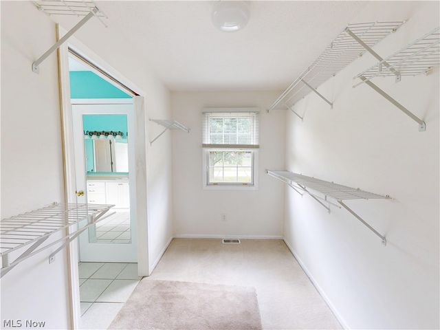 166 Helene Drive, Painesville Twp, OH 44077