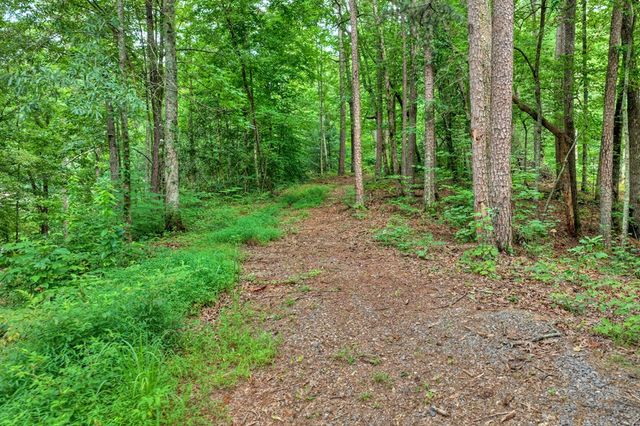 947 Cherry Log Street, Cherry Log, GA 30522