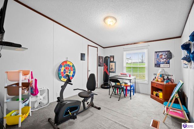 233 Shale Lane, Rineyville, KY 40162