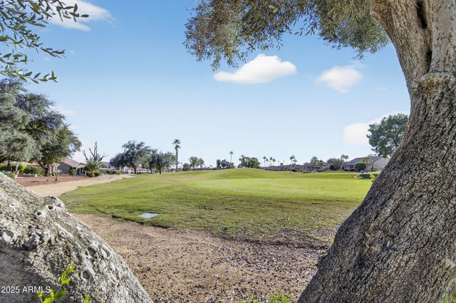 20618 N 142ND Avenue, Sun City West, AZ 85375