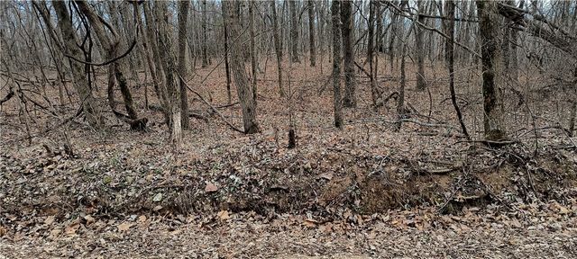 Lot 58 Posy Mountain Drive, Rogers, AR 72732