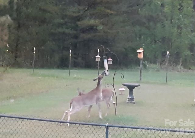 308 Frog Hollow Road, Rutherfordton, NC 28139