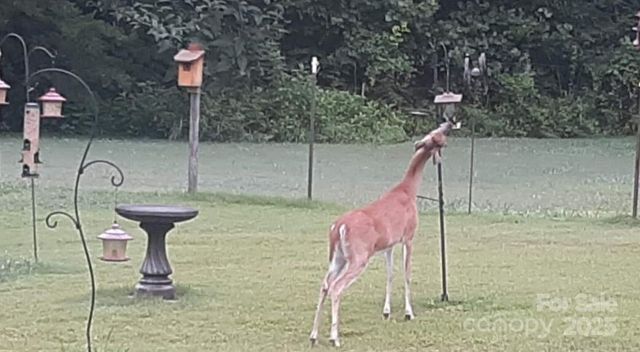 308 Frog Hollow Road, Rutherfordton, NC 28139