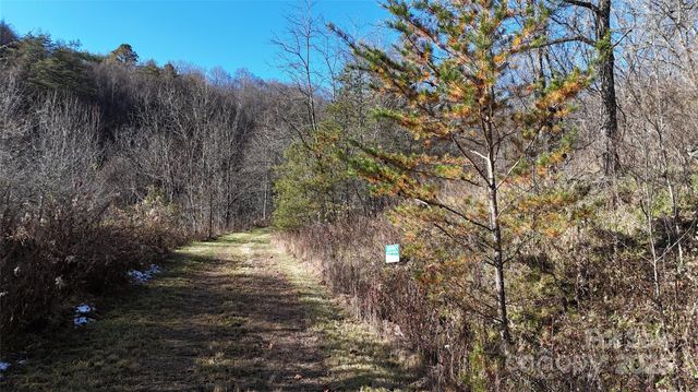 26 Hawthorne Draw Trail, Canton, NC 28716