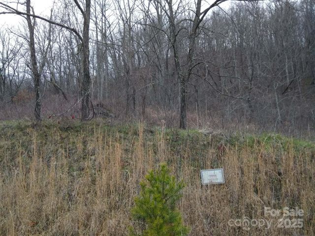 26 Hawthorne Draw Trail, Canton, NC 28716