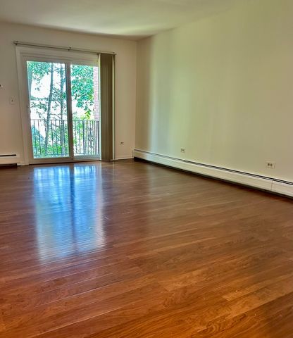 550 E Main Street 2E, Barrington, IL 60010