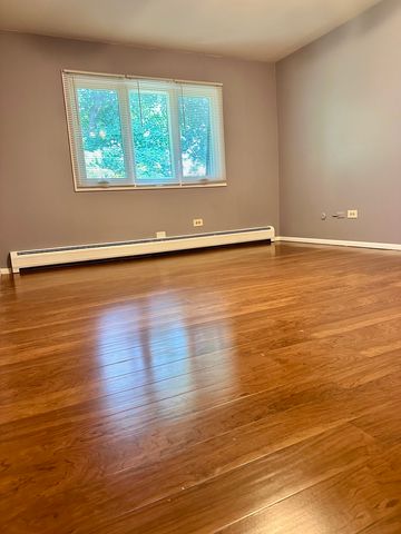 550 E Main Street 2E, Barrington, IL 60010