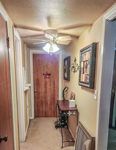 1212 Green Avenue, Wilson, TX 79381