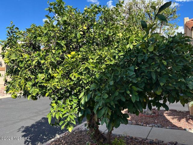709 W Sunlight Lane, Tucson, AZ 85704