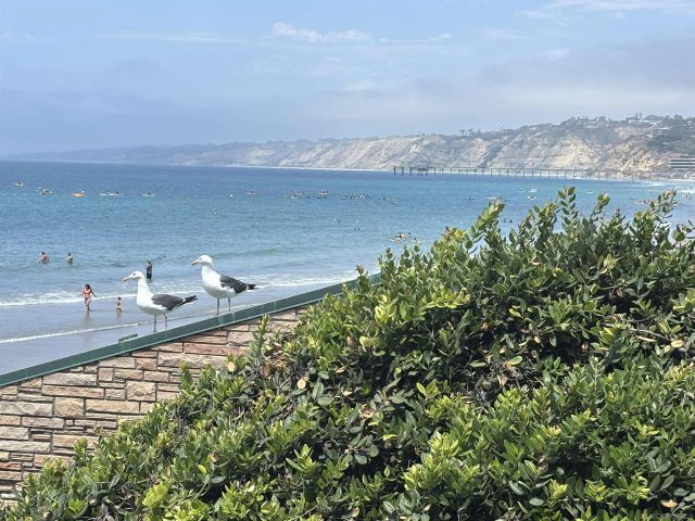 1920 Spindrift Drive, La Jolla, CA 92037