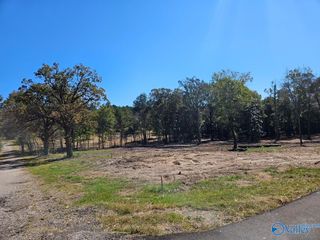 Lot 1 Pratt Avenue, Centre, AL 35960