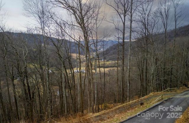 00 Triple Creek Drive, Clyde, NC 28721