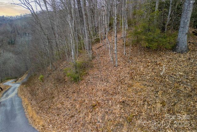 00 Triple Creek Drive, Clyde, NC 28721