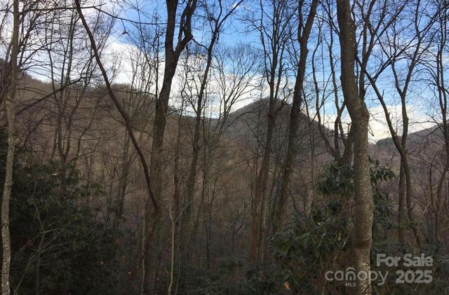00 Triple Creek Drive, Clyde, NC 28721