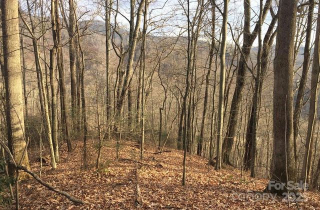 00 Triple Creek Drive, Clyde, NC 28721