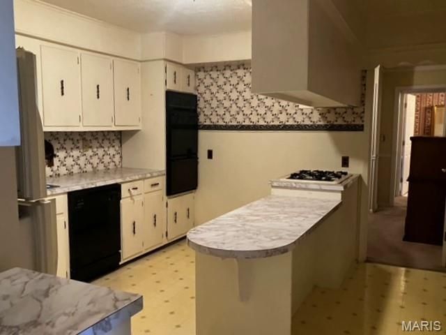 1301 N Douglas, Malden, MO 63863