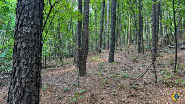 9971 Birdsong Rd, Holladay, TN 38341