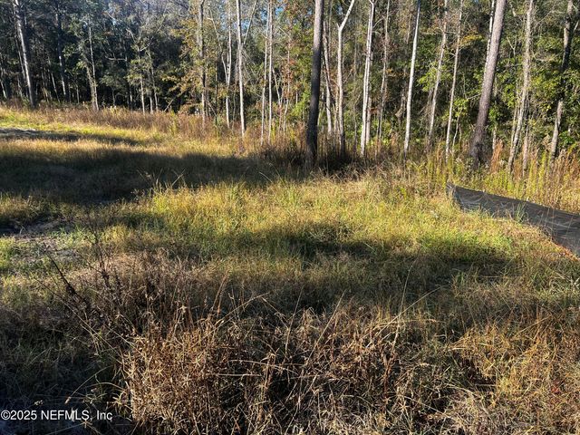 4825 SEDGE Street, Middleburg, FL 32068