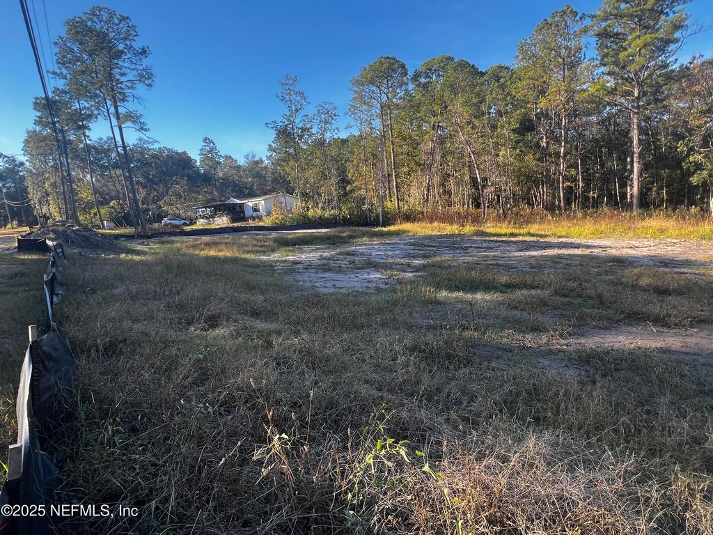 4825 SEDGE Street, Middleburg, FL 32068