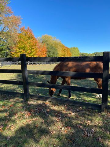 5 Conaumet Road, Marstons Mills, MA 02648