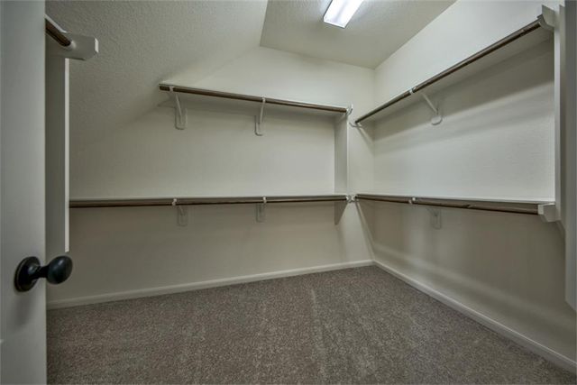 19406 Blueberry Cedar Drive, Cypress, TX 77433