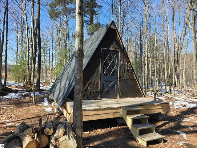 4390 S 37 Road, Cadillac, MI 49601