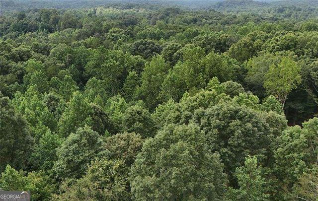 LOT 5 Fowler Creek Drive, Cleveland, GA 30528
