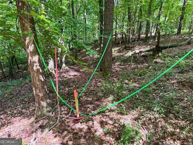 LOT 5 Fowler Creek Drive, Cleveland, GA 30528