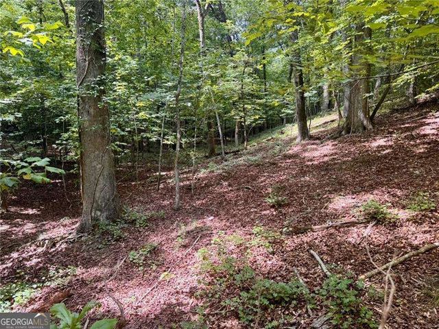 LOT 5 Fowler Creek Drive, Cleveland, GA 30528