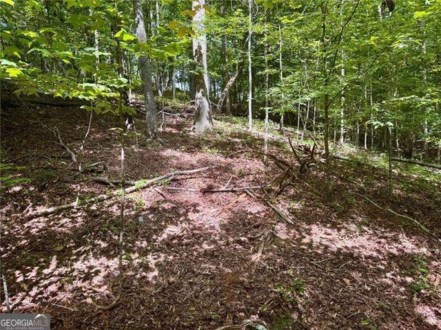 LOT 5 Fowler Creek Drive, Cleveland, GA 30528