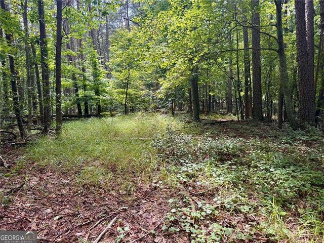 LOT 5 Fowler Creek Drive, Cleveland, GA 30528