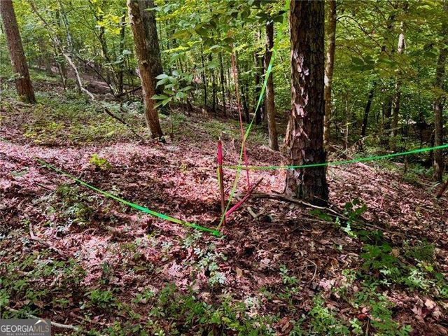 LOT 5 Fowler Creek Drive, Cleveland, GA 30528
