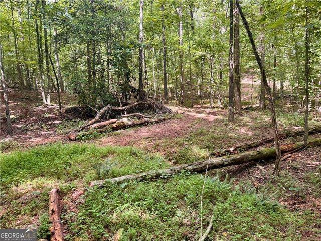LOT 5 Fowler Creek Drive, Cleveland, GA 30528