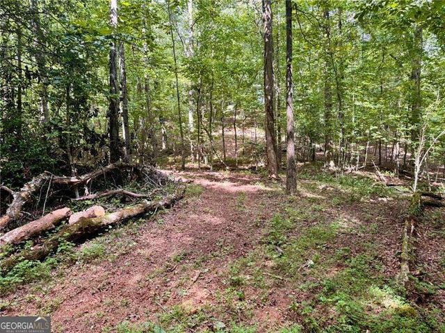 LOT 5 Fowler Creek Drive, Cleveland, GA 30528