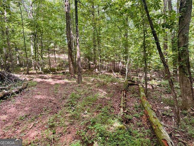 LOT 5 Fowler Creek Drive, Cleveland, GA 30528