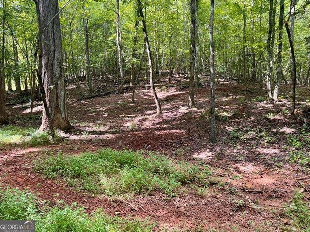LOT 5 Fowler Creek Drive, Cleveland, GA 30528