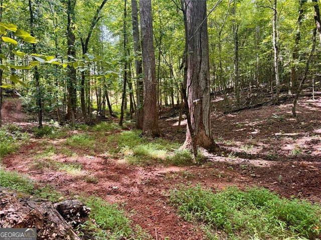 LOT 5 Fowler Creek Drive, Cleveland, GA 30528
