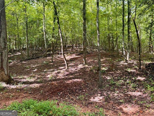 LOT 5 Fowler Creek Drive, Cleveland, GA 30528