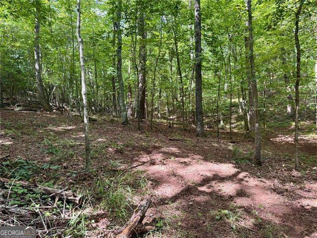 LOT 5 Fowler Creek Drive, Cleveland, GA 30528