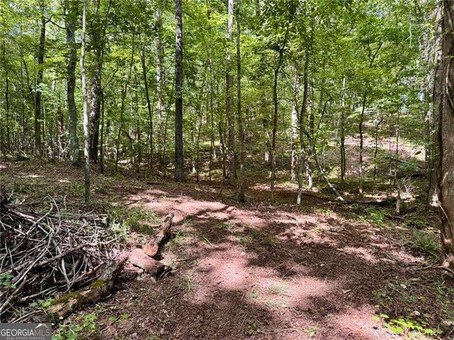 LOT 5 Fowler Creek Drive, Cleveland, GA 30528