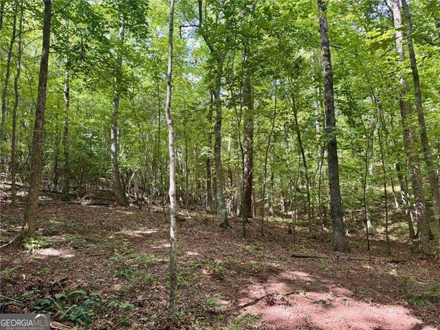 LOT 5 Fowler Creek Drive, Cleveland, GA 30528