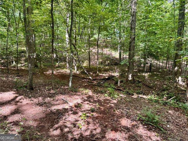 LOT 5 Fowler Creek Drive, Cleveland, GA 30528
