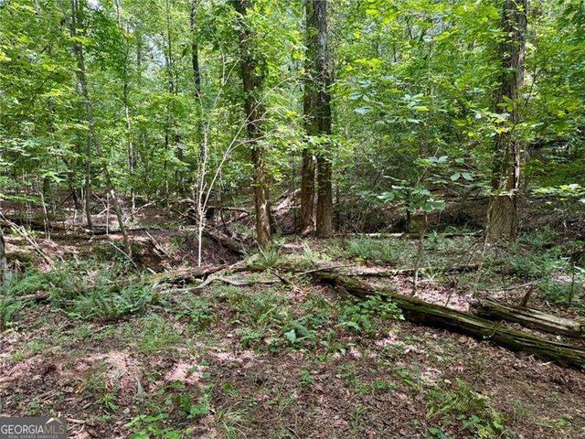LOT 5 Fowler Creek Drive, Cleveland, GA 30528