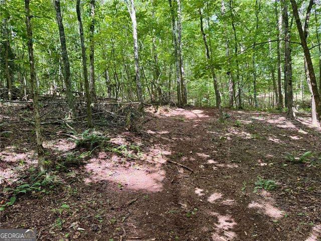 LOT 5 Fowler Creek Drive, Cleveland, GA 30528