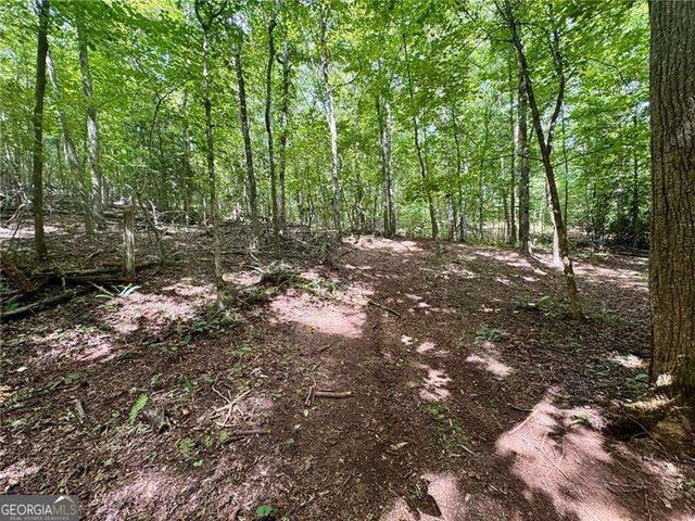 LOT 5 Fowler Creek Drive, Cleveland, GA 30528