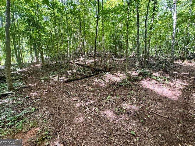 LOT 5 Fowler Creek Drive, Cleveland, GA 30528