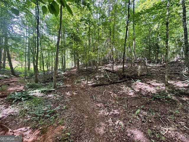 LOT 5 Fowler Creek Drive, Cleveland, GA 30528