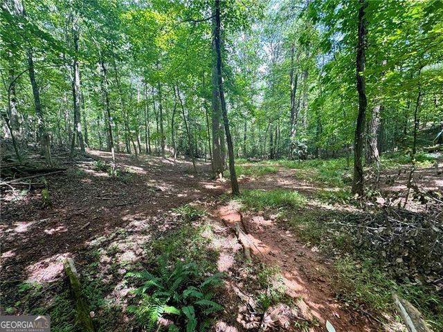 LOT 5 Fowler Creek Drive, Cleveland, GA 30528