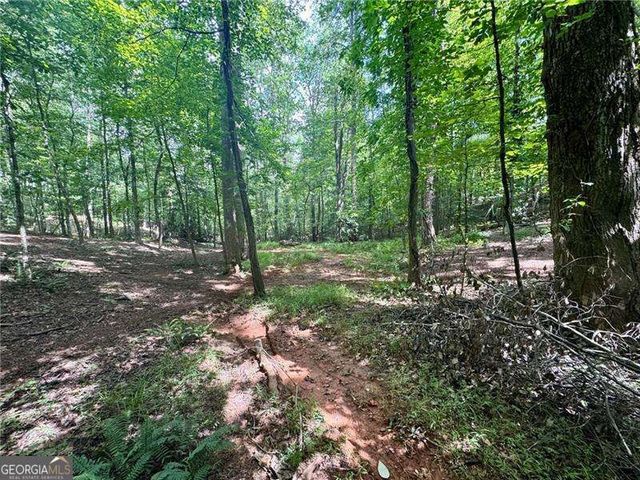 LOT 5 Fowler Creek Drive, Cleveland, GA 30528